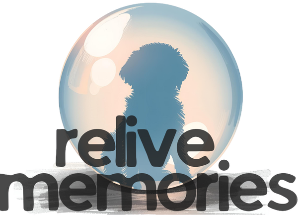 Relive Memories